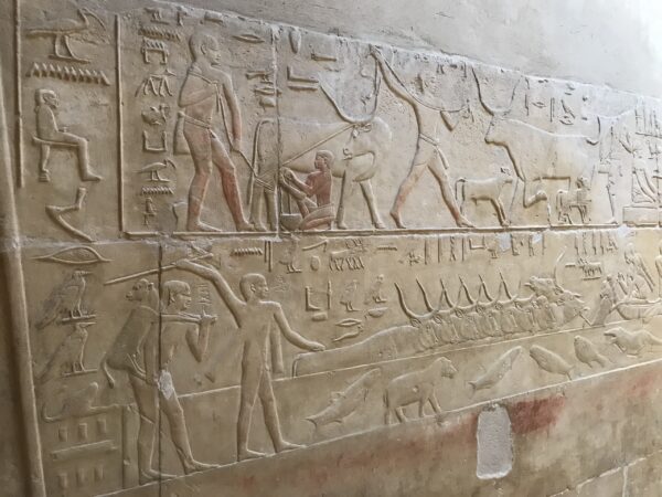 Hieroglyfy, Sakkara