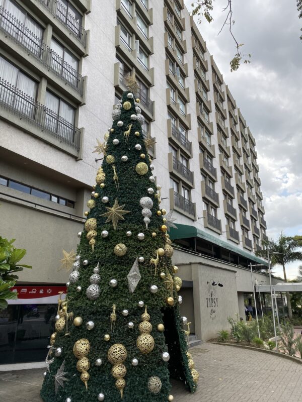 Movich hotel, Pereira