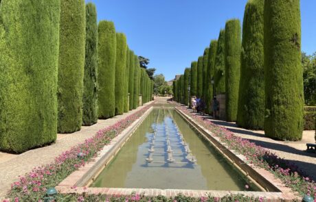 vysoké tuje s jazierkom uprostred v Alcázar de los Reyes Cristianos