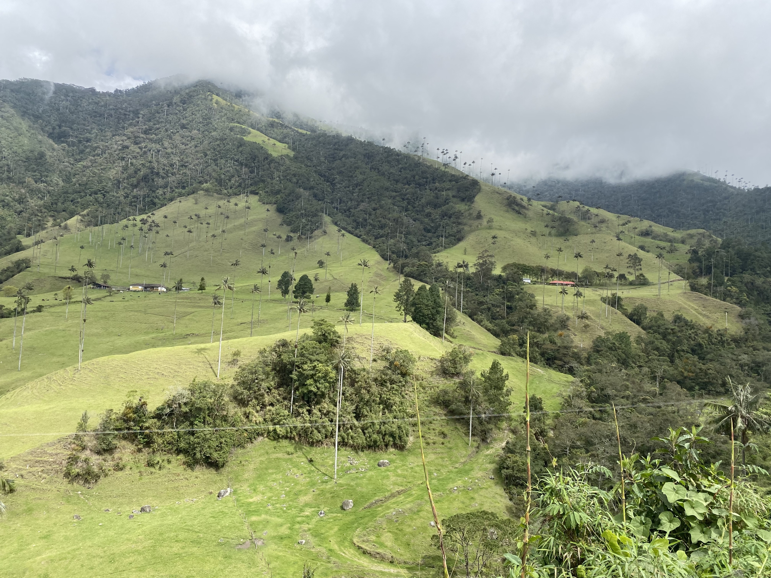 Valle de Cocora - pohľad z vrchu na protiľahlé hory s palmami