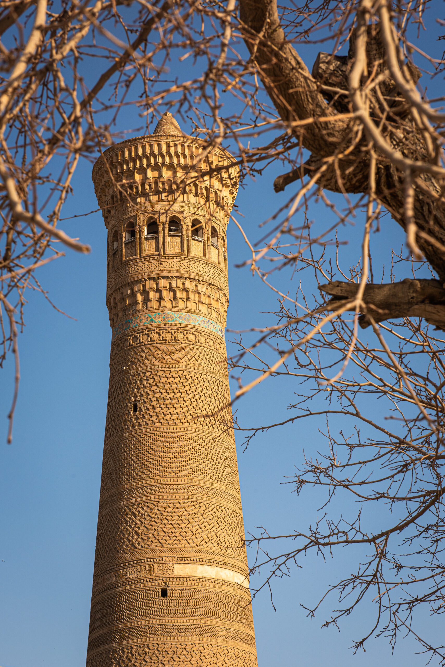 Kalonský minaret v Buchare Vysoká veža - minaret - vpredu vetvy stromu